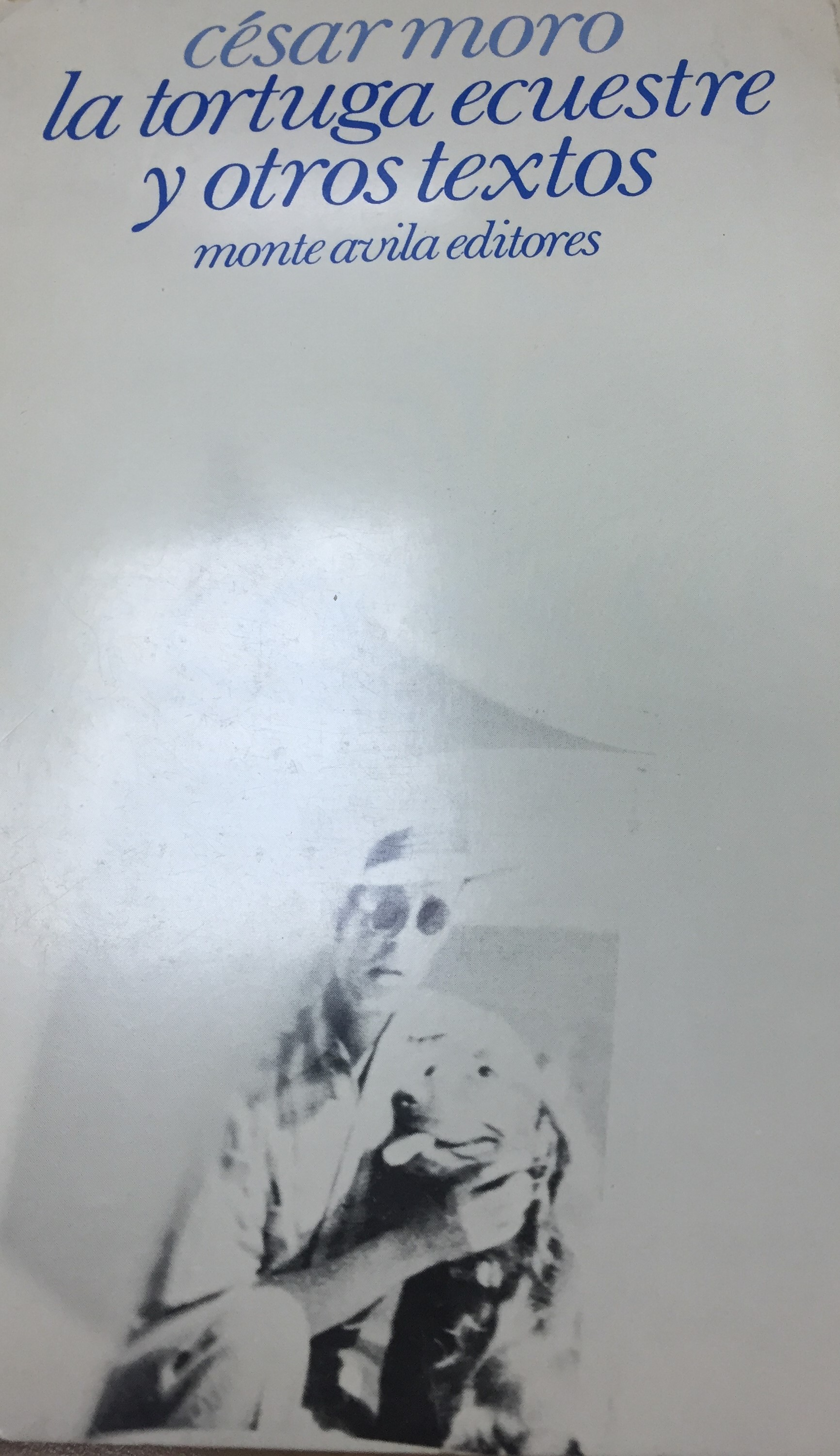 La tortuga ecuestre y otros textos